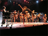 חגיגות הביאנלה 2008